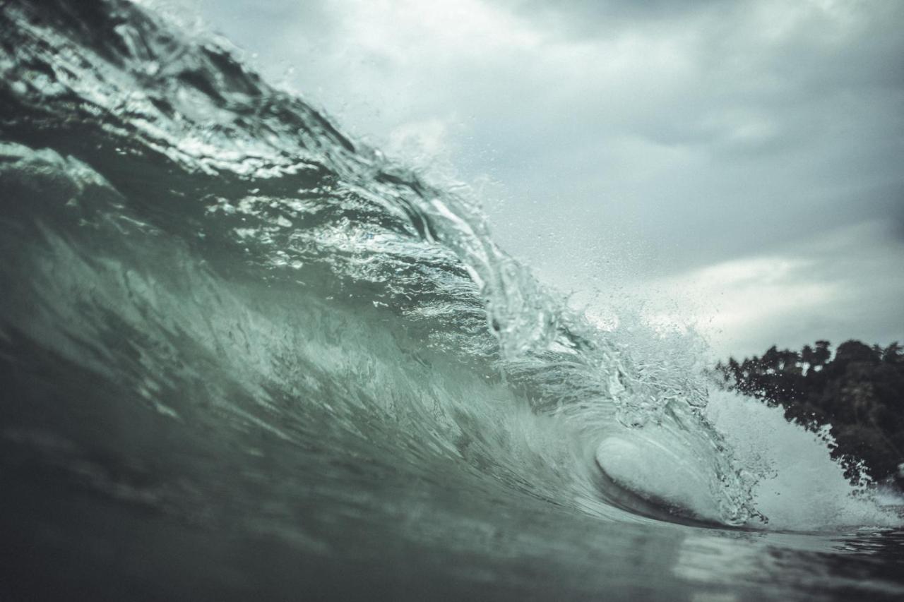 Surf & Yoga Sri Lanka - Surf Camp And Yoga Retreat With Coworking Space Mirissa Exterior foto