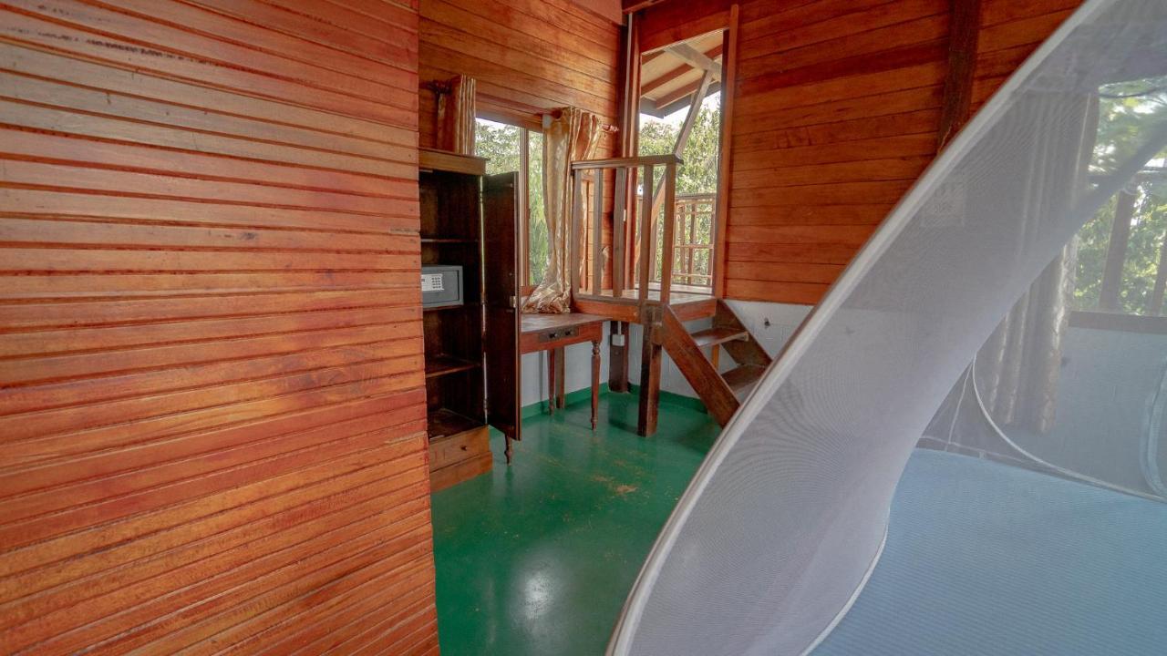 Surf & Yoga Sri Lanka - Surf Camp And Yoga Retreat With Coworking Space Mirissa Exterior foto