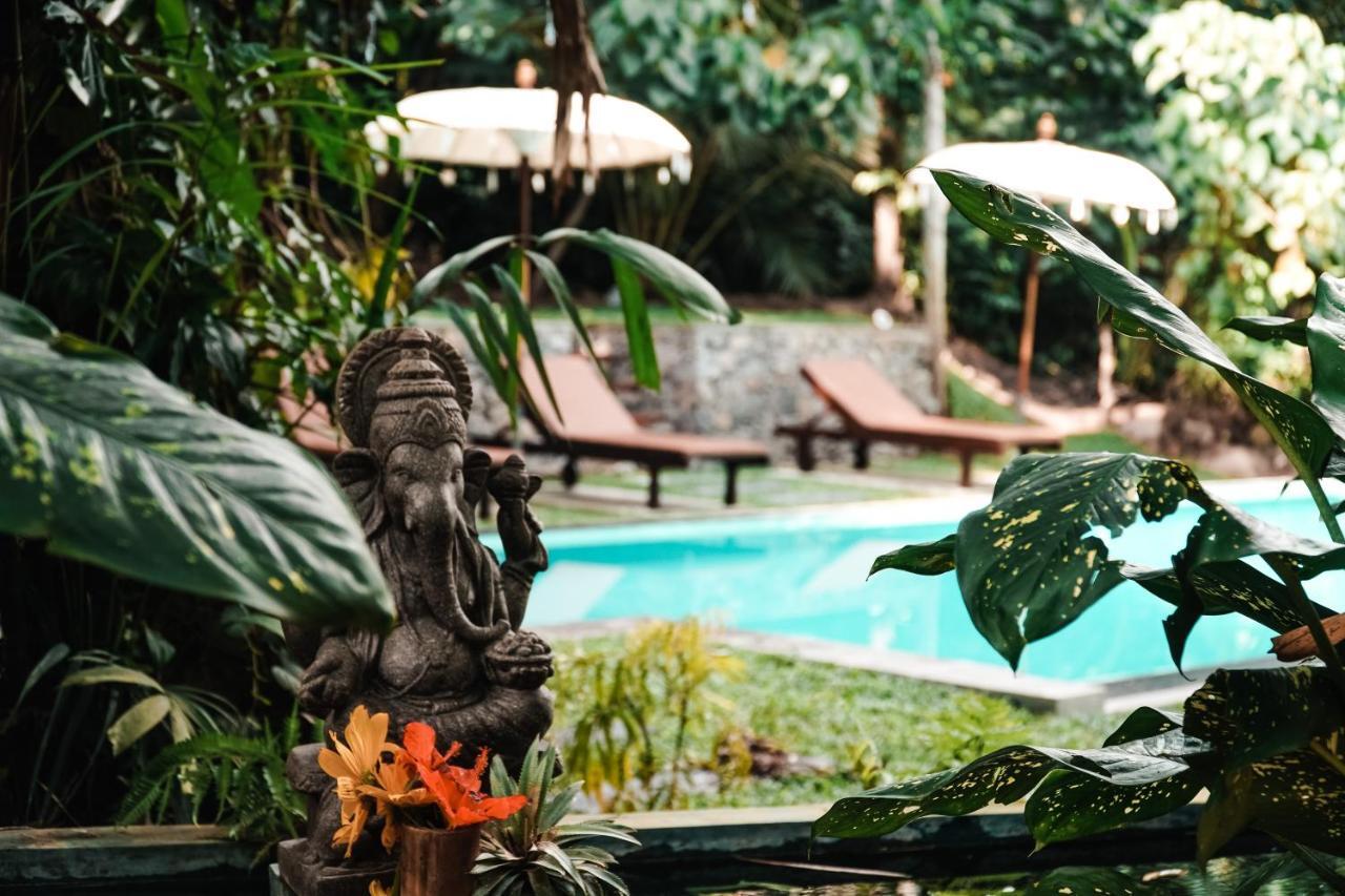 Surf & Yoga Sri Lanka - Surf Camp And Yoga Retreat With Coworking Space Mirissa Exterior foto